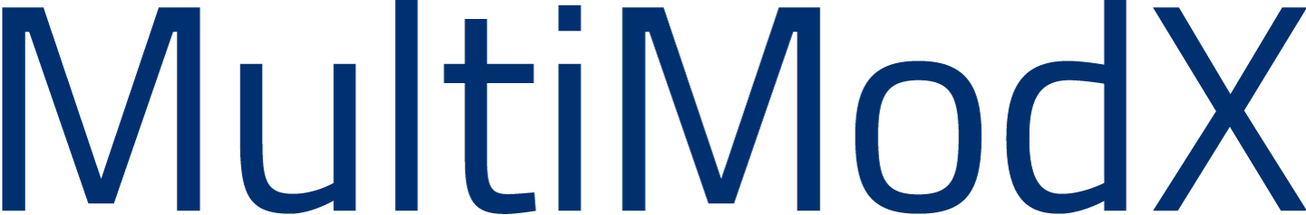<span>MultiModX- Integrated Passenger-Centric Planning of Multimodal Transport Networks </span>
