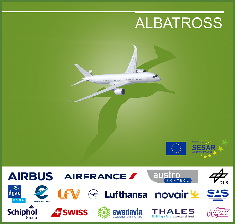 albatross